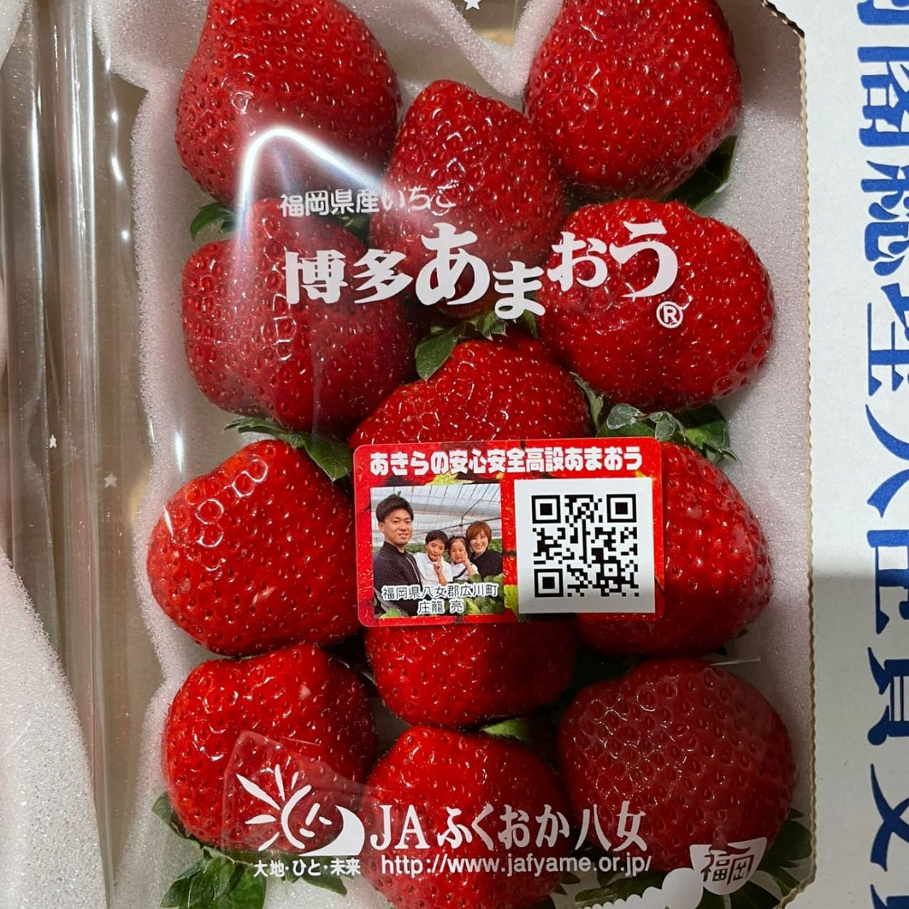 Amaou Strawberry / いちご – Miumi Singapore