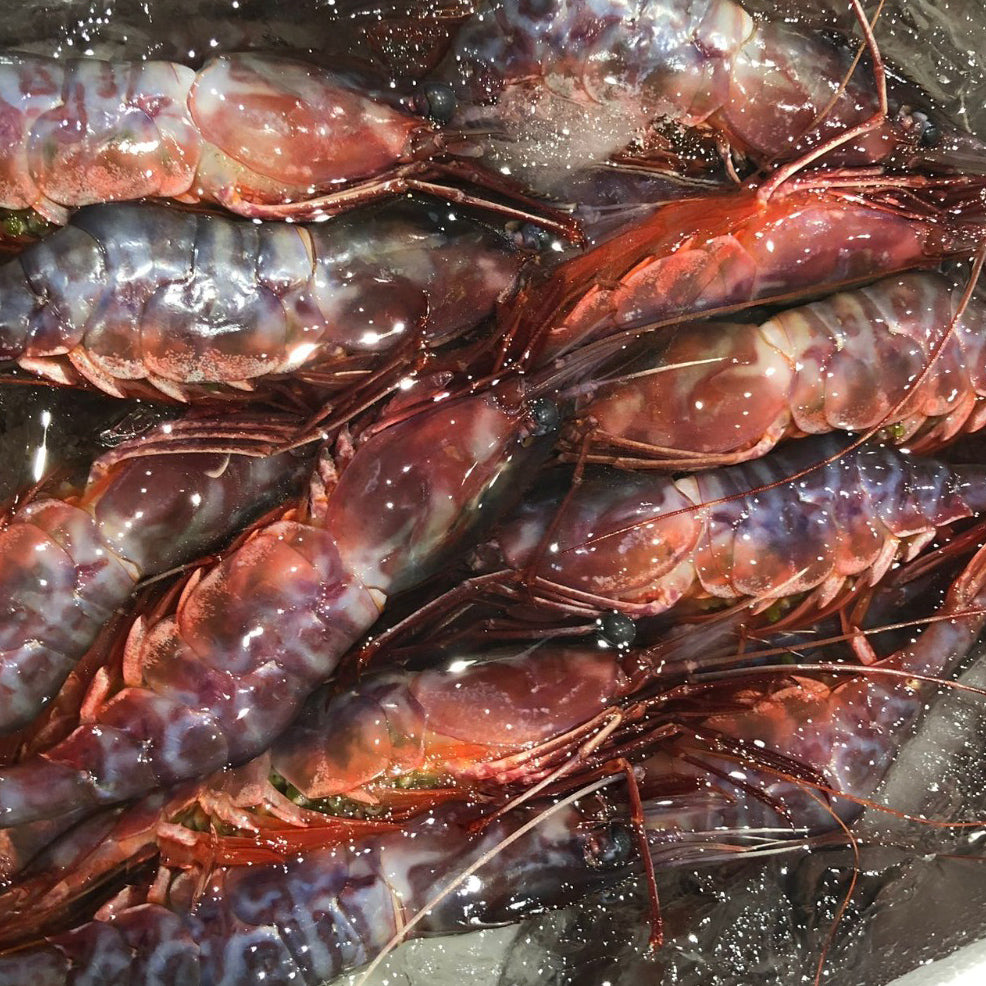 Budou Ebi / ぶどうえび