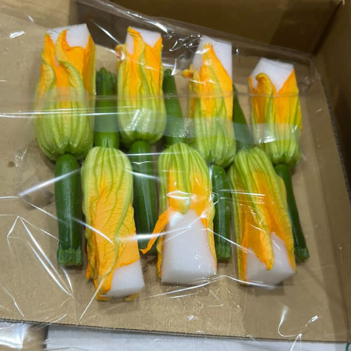 Flowering Zucchini / 花ズッキーニ