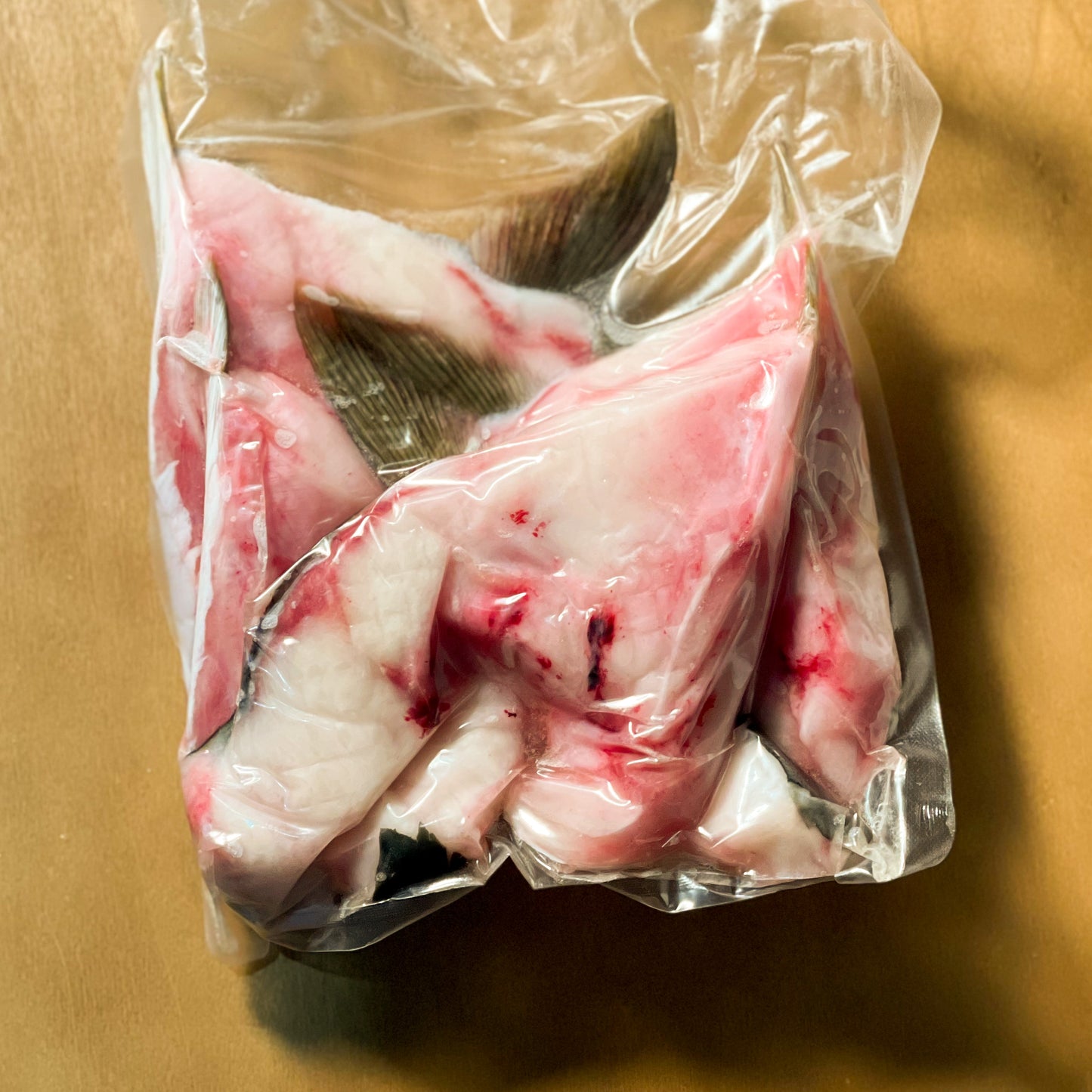 Buri Kama / Hamachi Collar