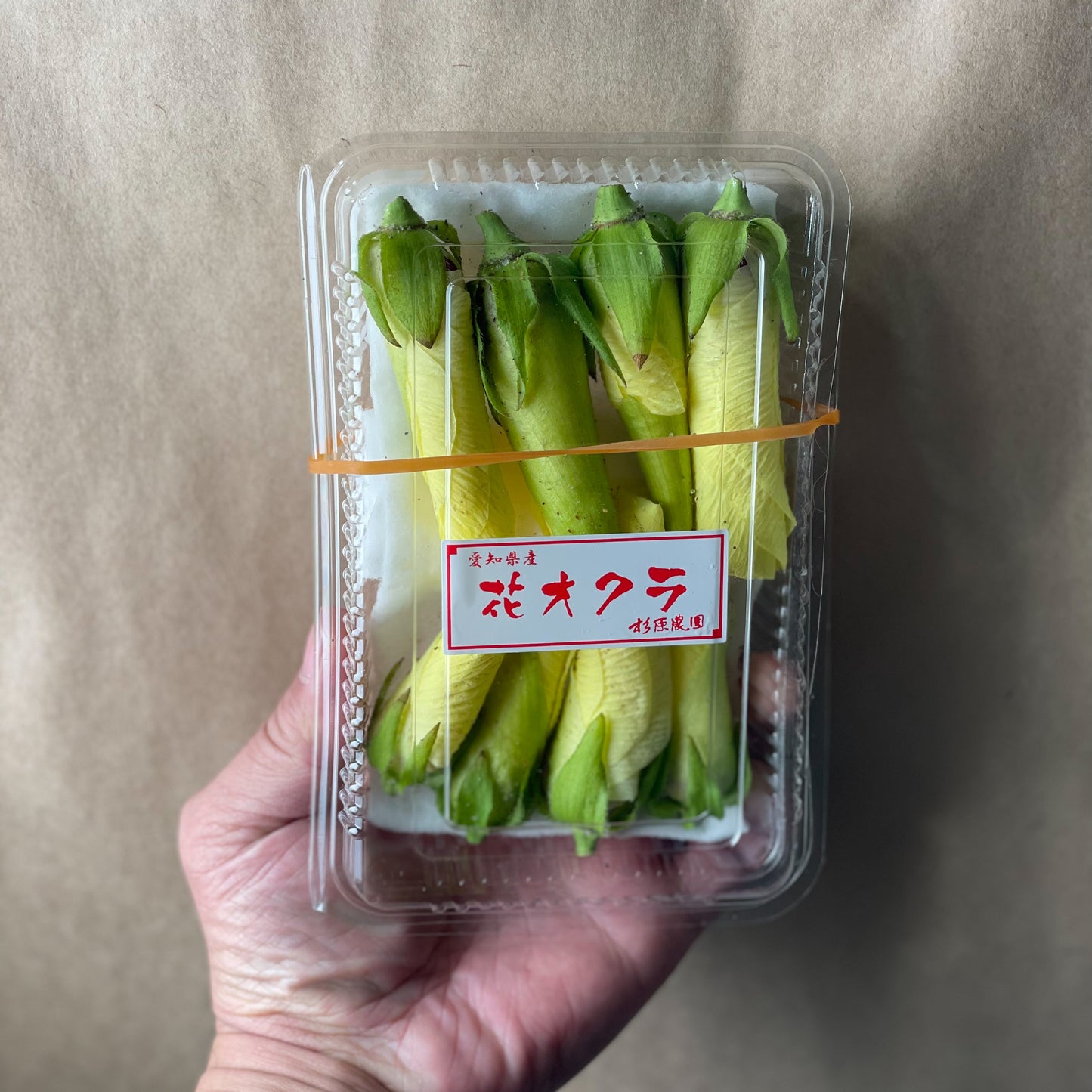 Flower Okura / 花オクラ