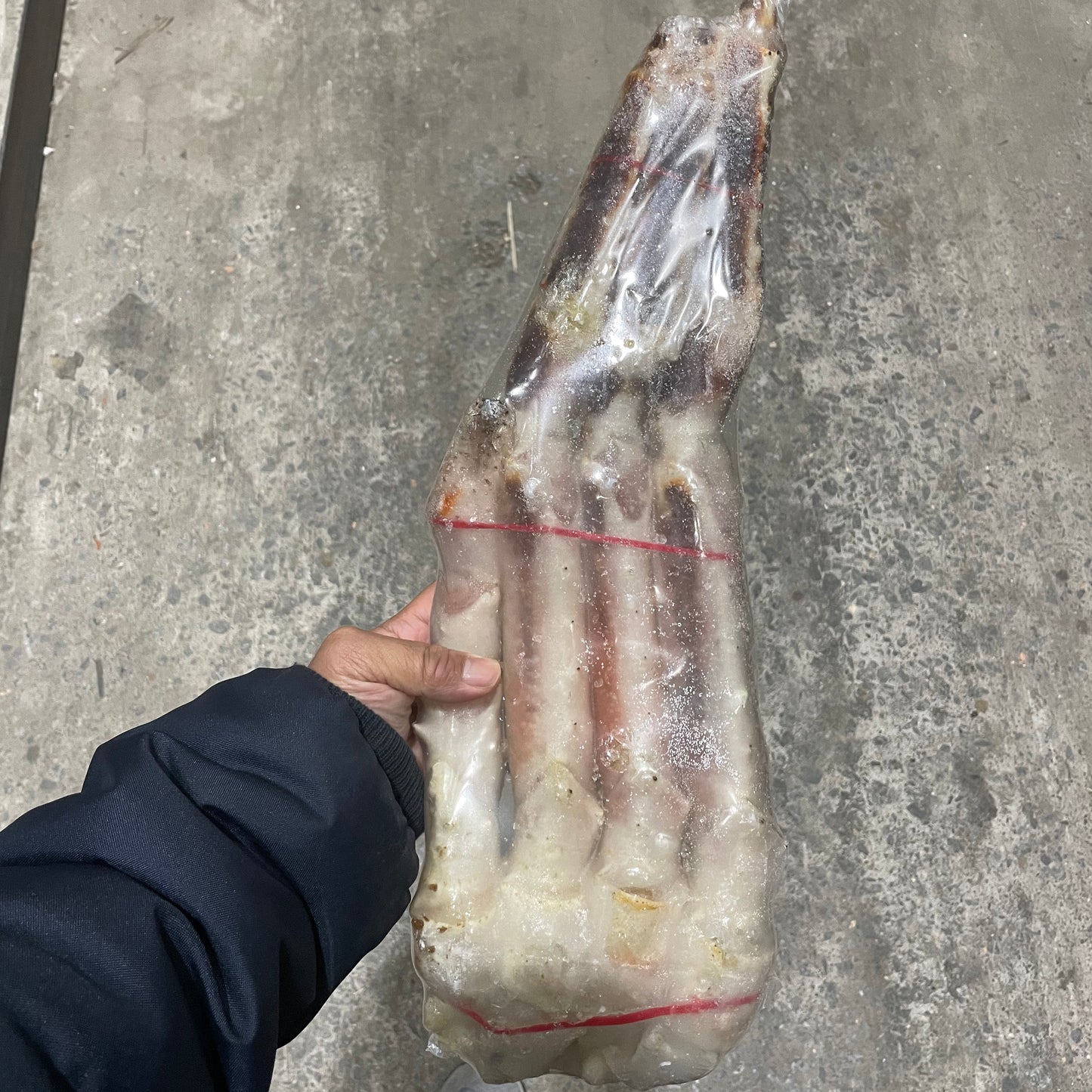 Red King Crab Leg Raw Size 7L