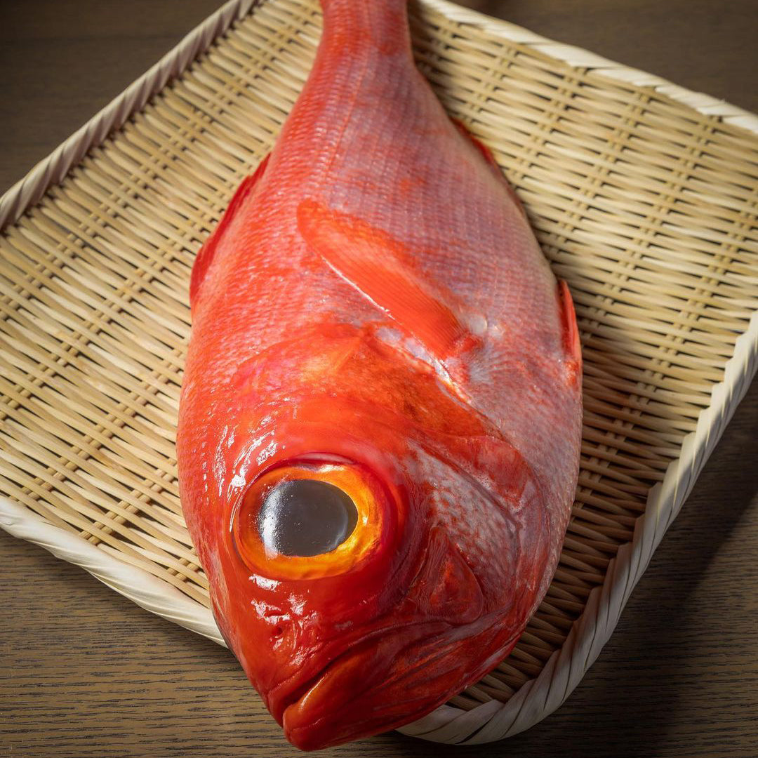 Kinmedai (Golden Eye Snapper) from Japan