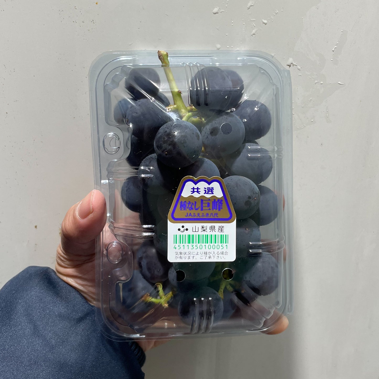 Kyoho Grape / 巨峰