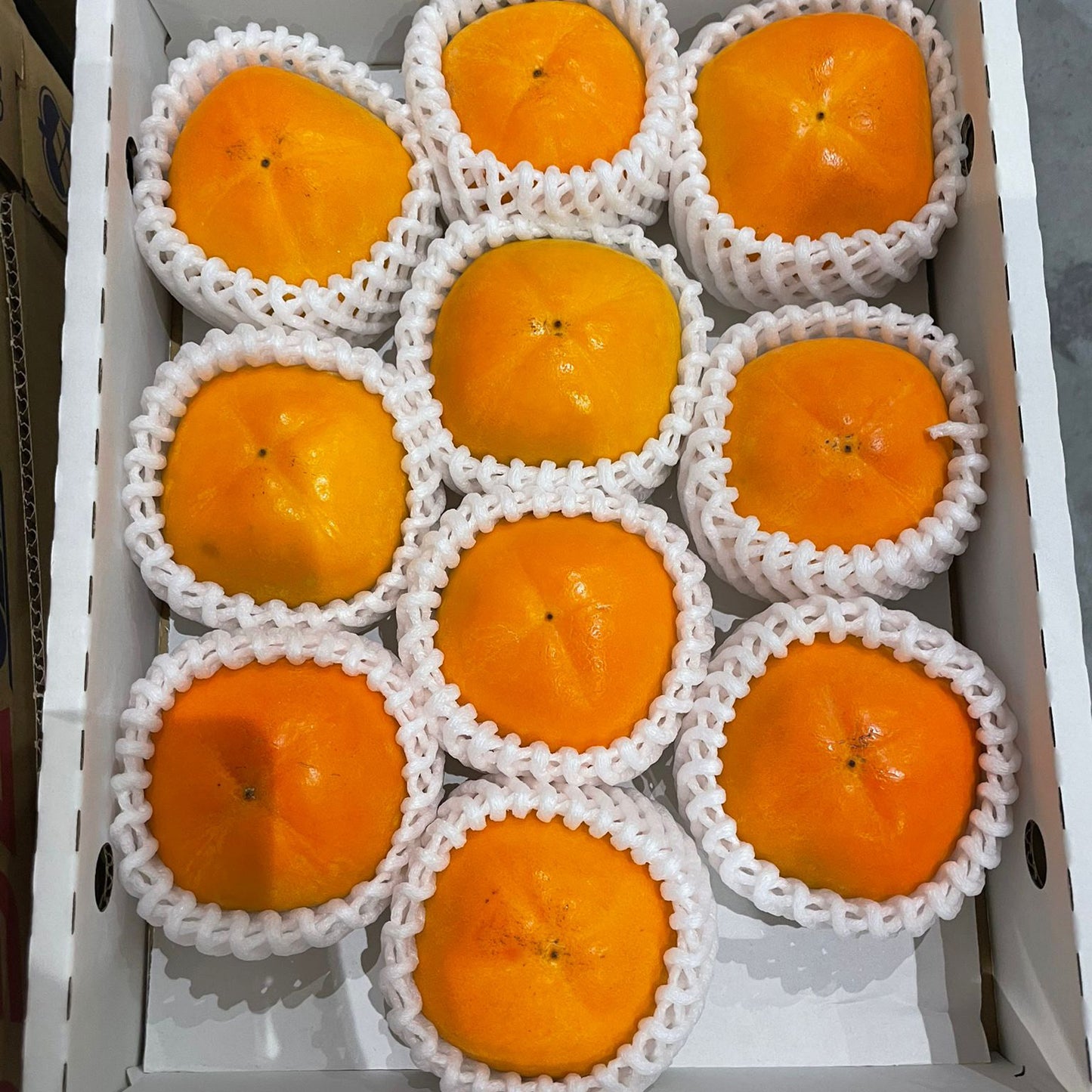 Persimmon from Nara prefecture 柿 奈良