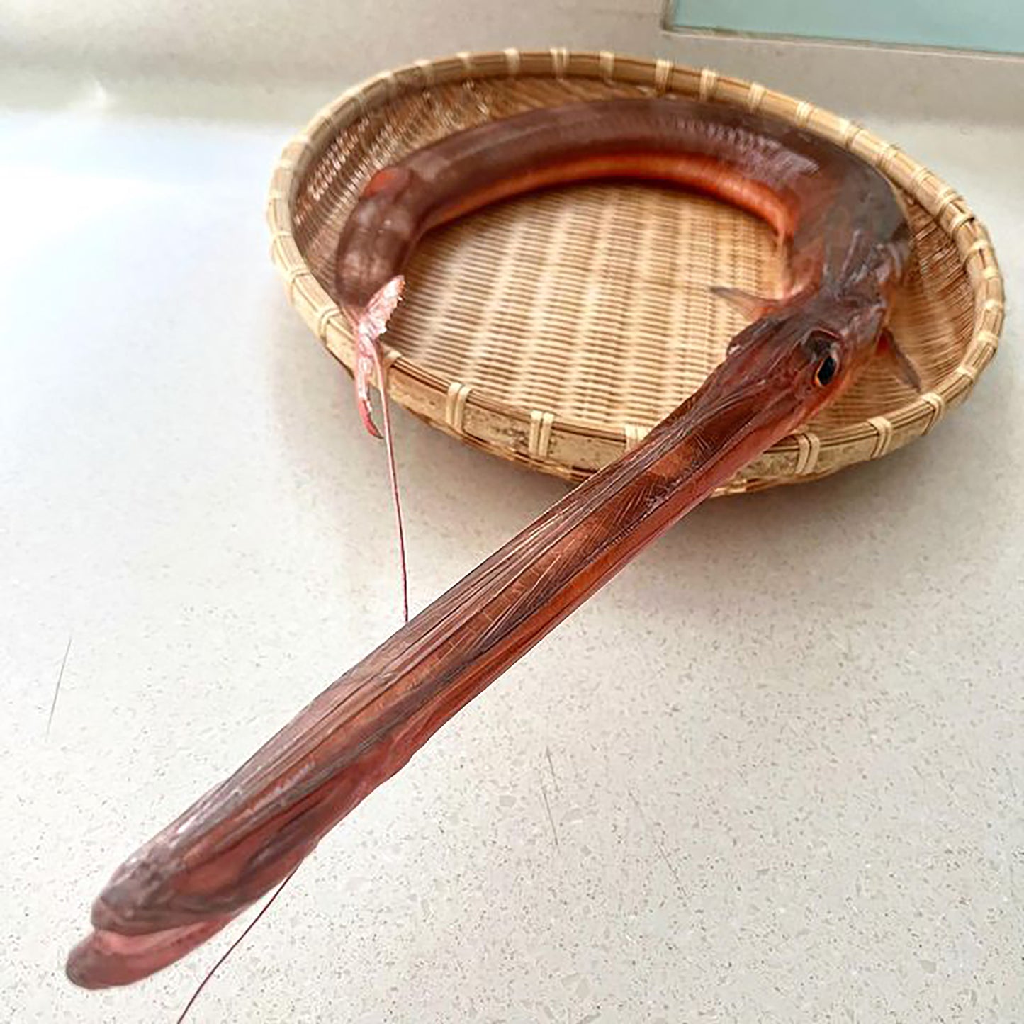 Yagara Cornet Fish / やがら