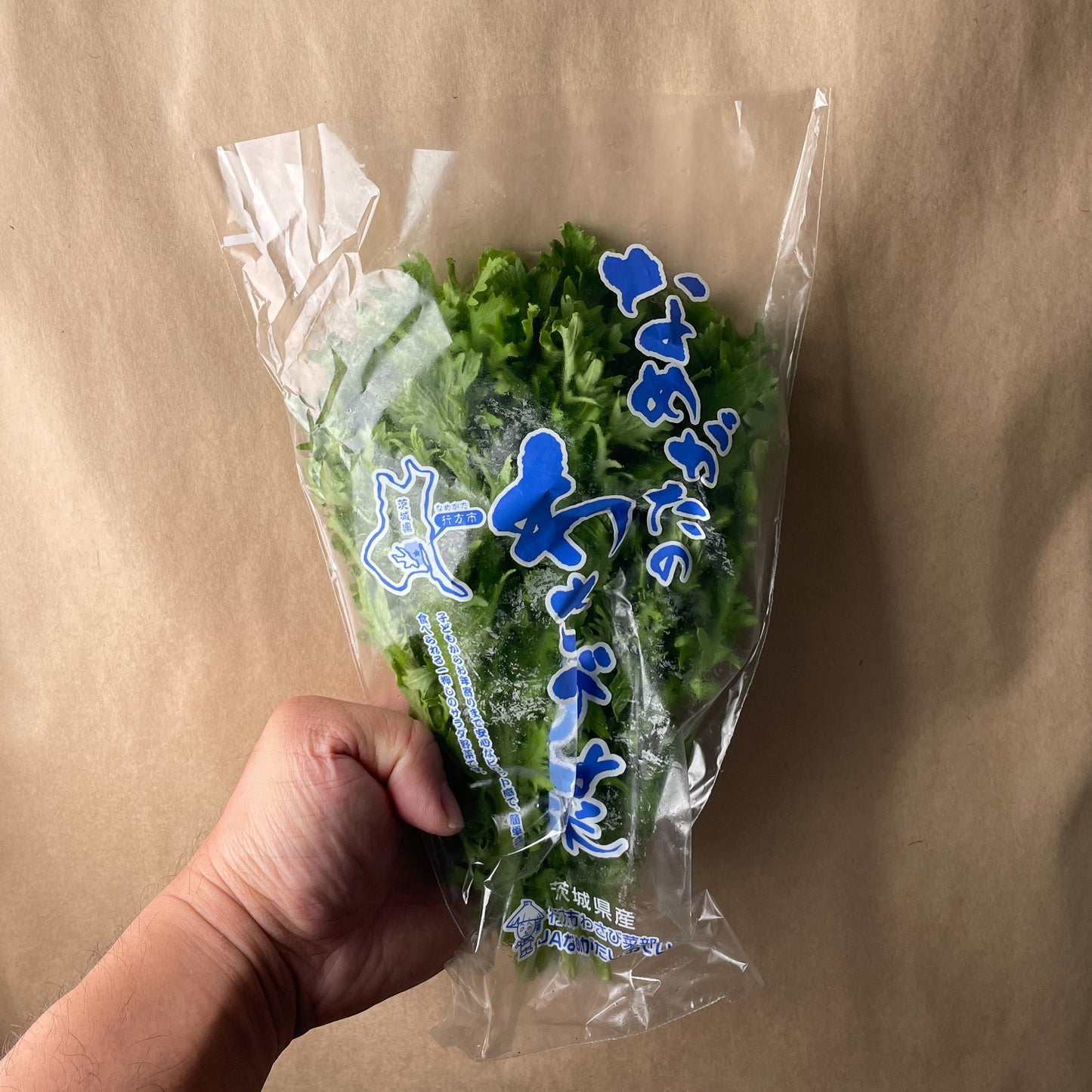 Wasabi No Ha / わさび菜