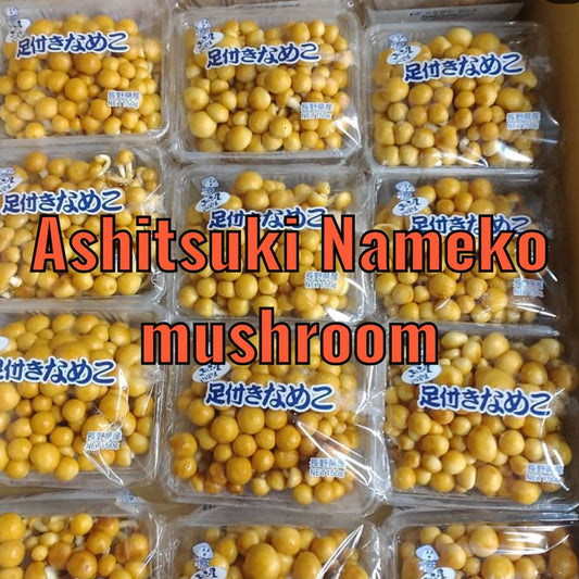 Ashitsuki Nameko / 足つきなめこ (100gm / Pkt)