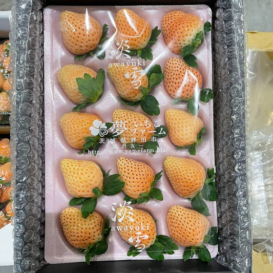 Awayuki White Strawberry in Fancy Box / 白いちご 化粧箱