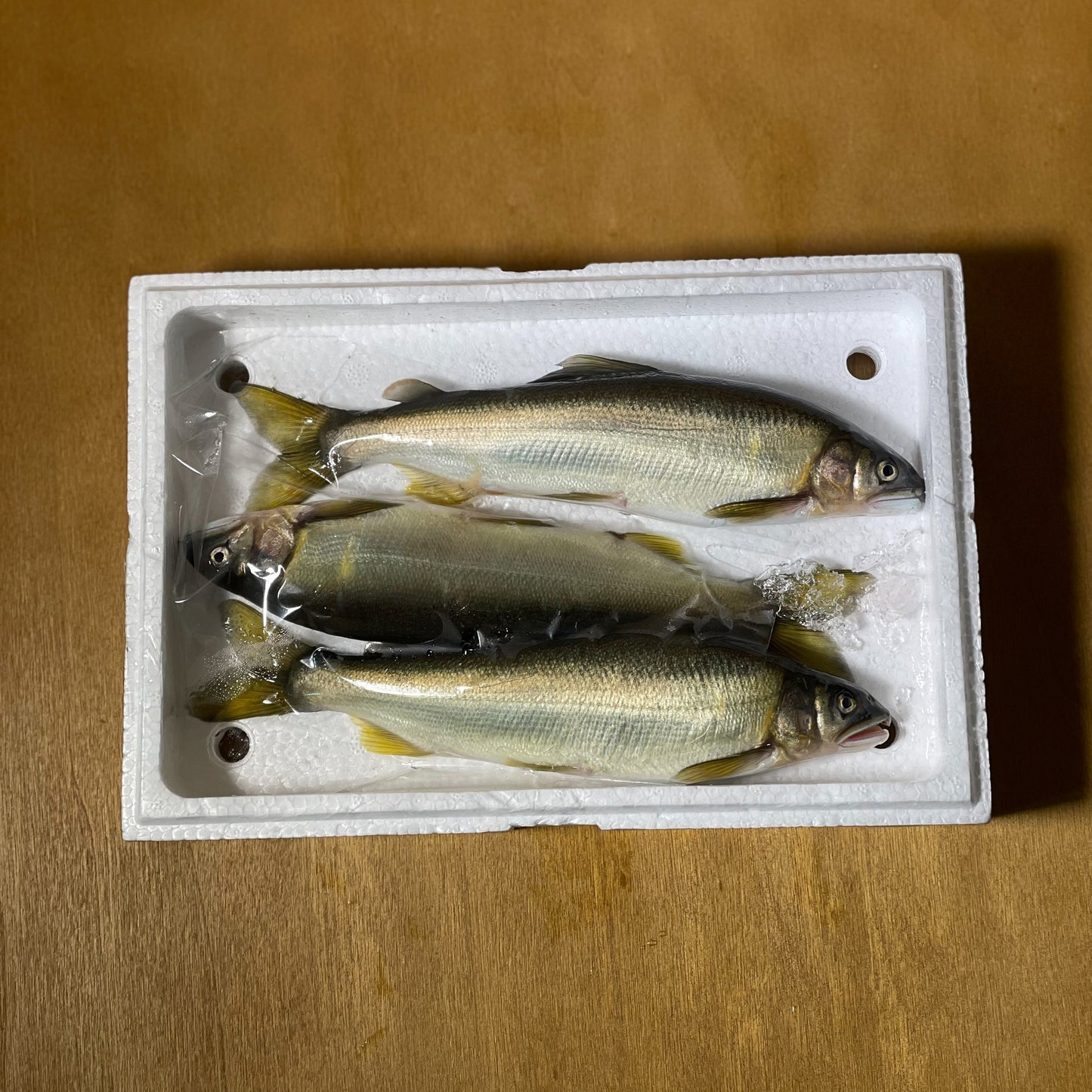 Komochi Ayu (Ayu with roe) from Nagano / 子持ちあゆ 長野など