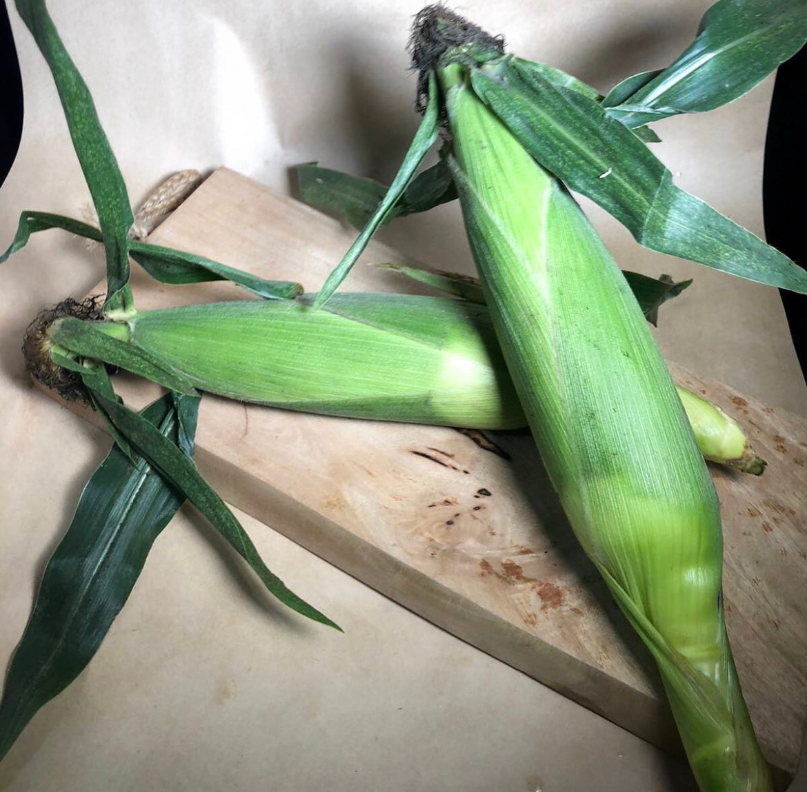 Corn