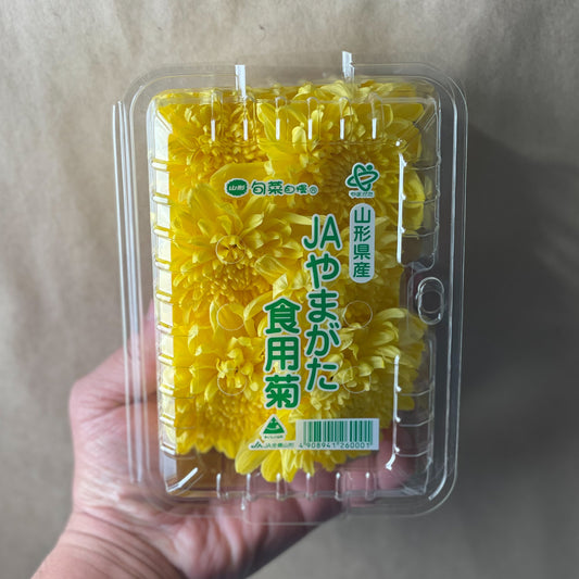 Edible Yellow Chrysanthemum Big / 食用菊