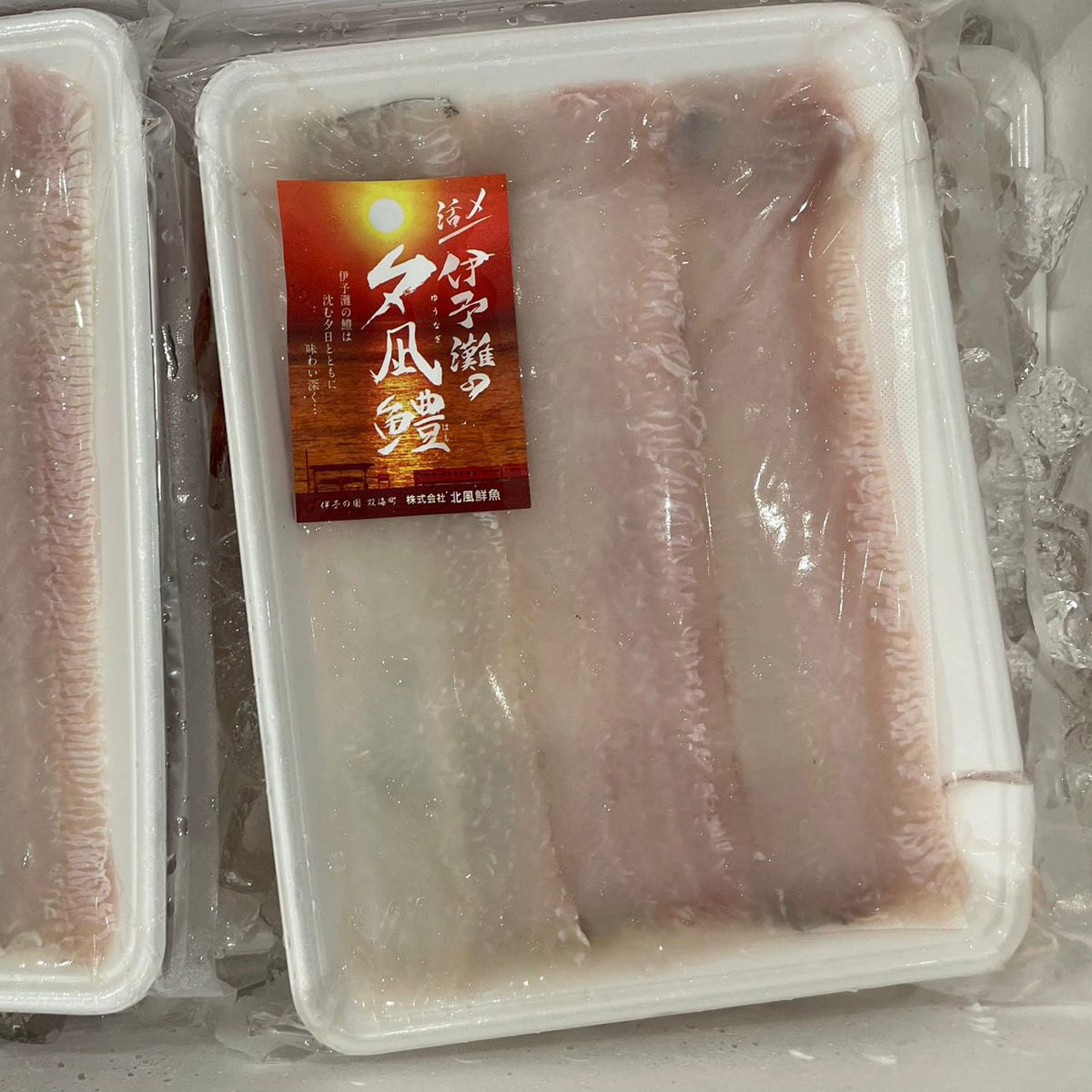 Hammo Fish Daggertooth Pike Conger Hamo / 骨切りハモ (500g / pkt) – Bidfood Singapore ...