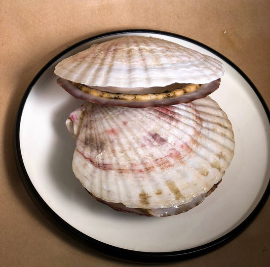 Scallop with Shell / カラホ