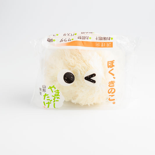 Yamabushi / Lion’s Mane Mushroom / やまぶしだけ (100gm / Pkt)