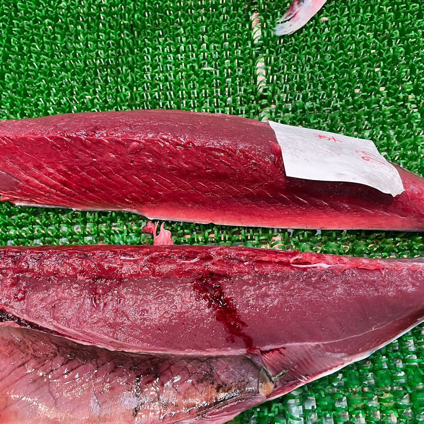 Katsuo / Skipjack / カツオ