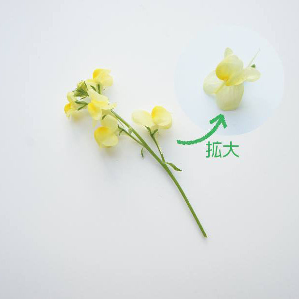 Ichirin Linaria Yellow