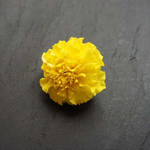 Ichirin Marigold