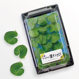 Micro Wasabi Leaf / マイクロ葉わさび 小