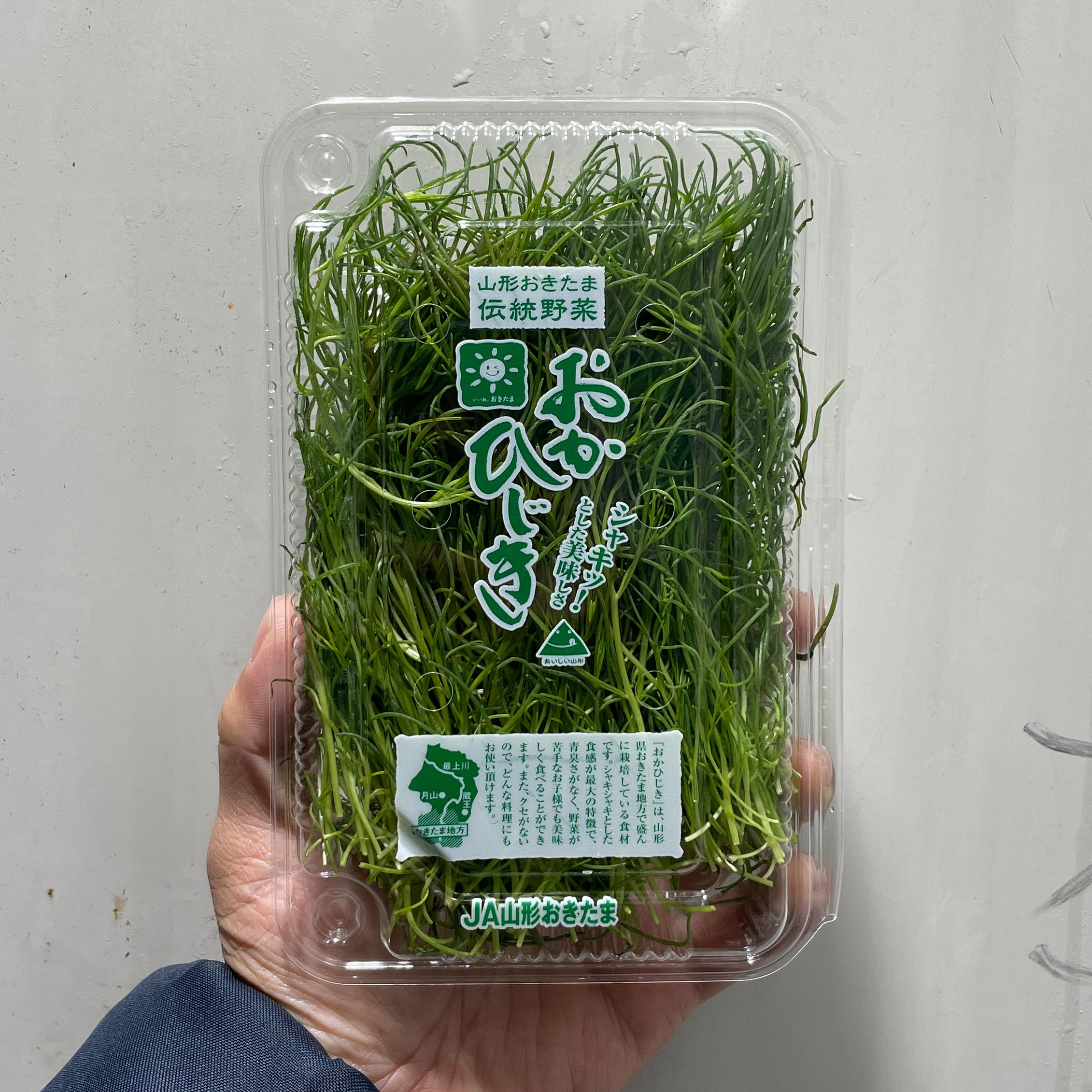 Okahijiki / おかひじき – Bidfood Singapore Pte Ltd