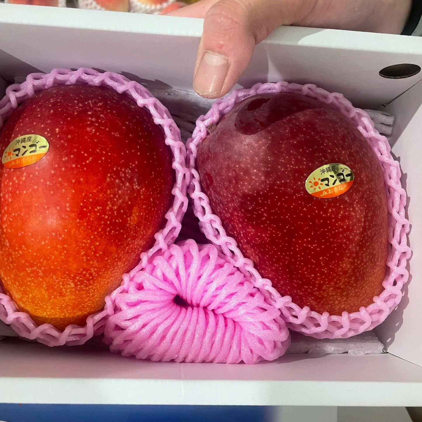 Okinawa Mango (400-500gm)