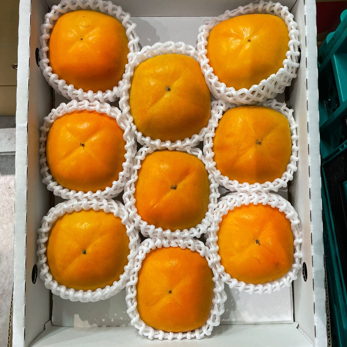 Persimmon / 柿 – Bidfood Singapore Pte Ltd