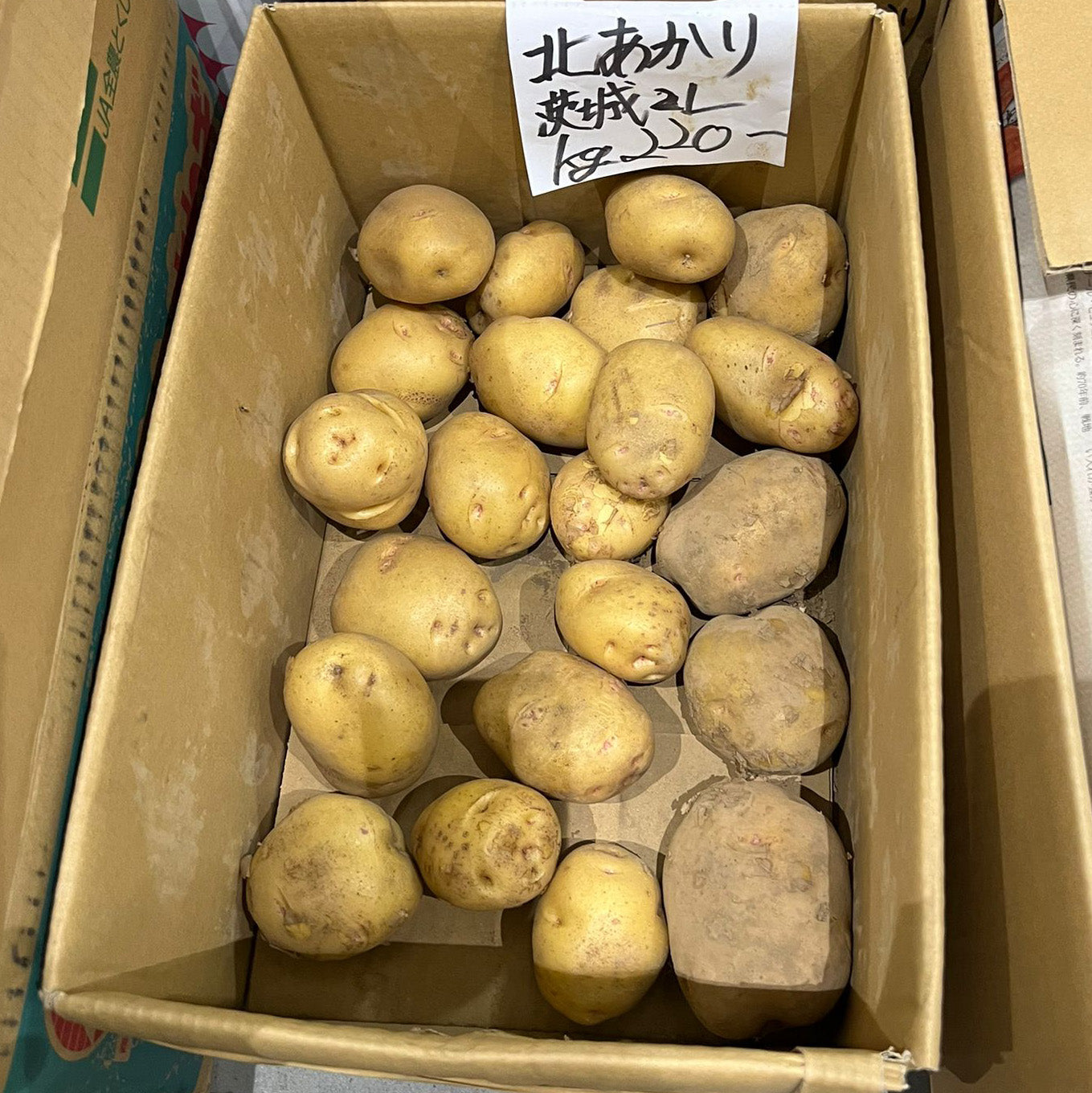 Potatoes Inkan Reawakening / インカのめざめ