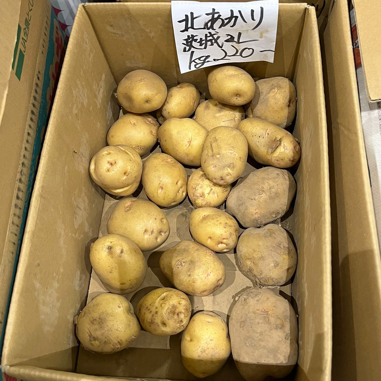 Potatoes Kita Akari / 北あかり