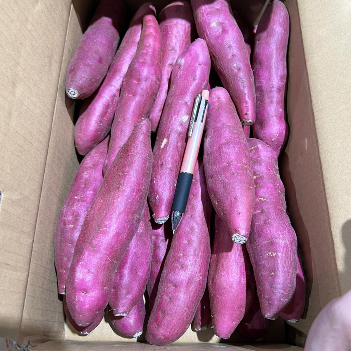 Purple Sweet Potato