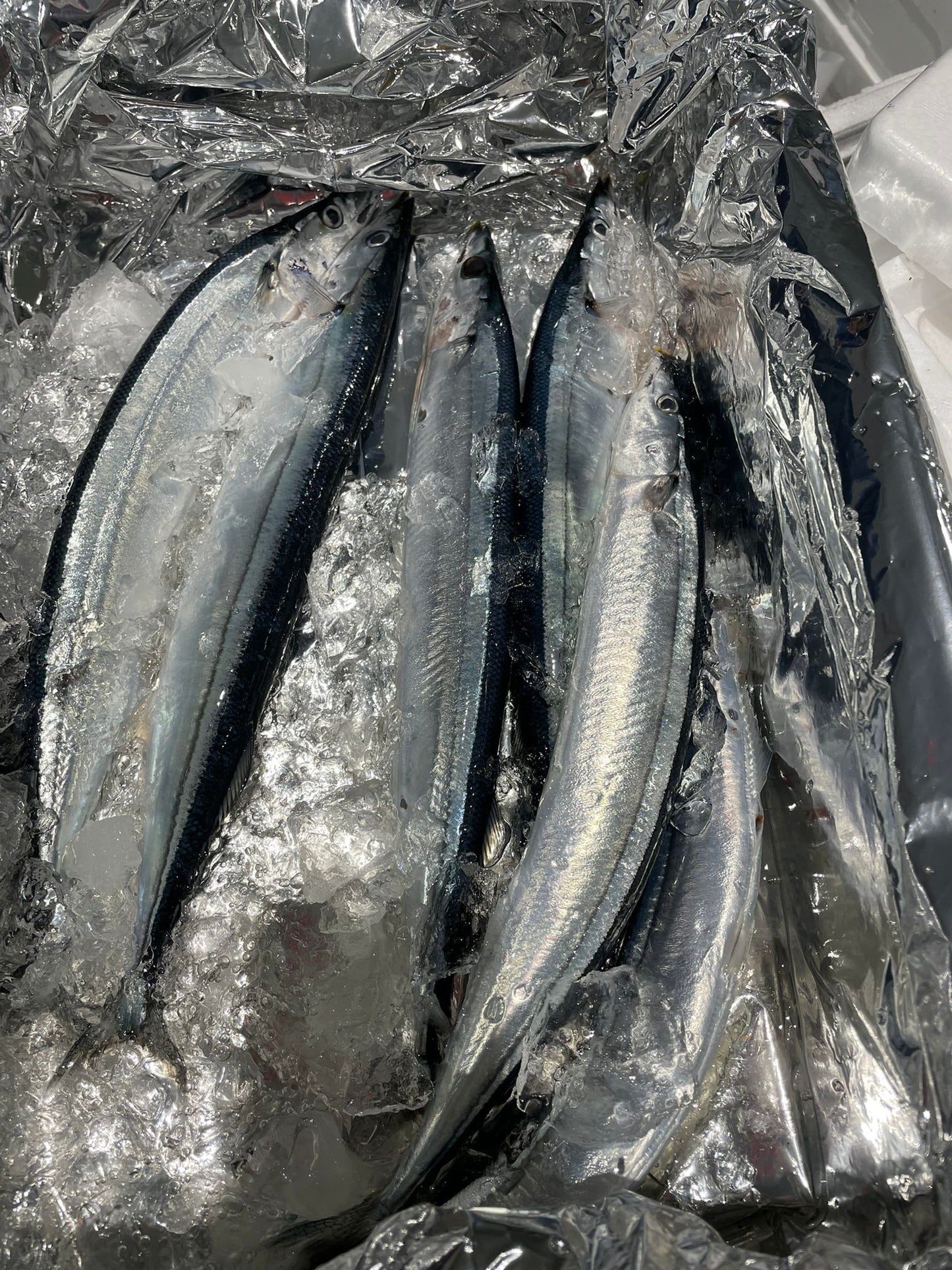 Sanma / Pacific Saury / さんま 秋刀魚