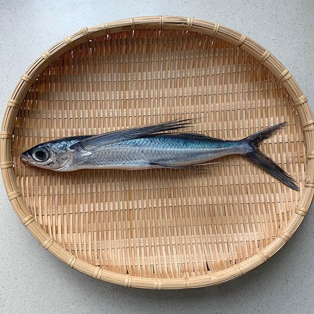 Tobiuo Flying Fish / とびうお (0.5kg)