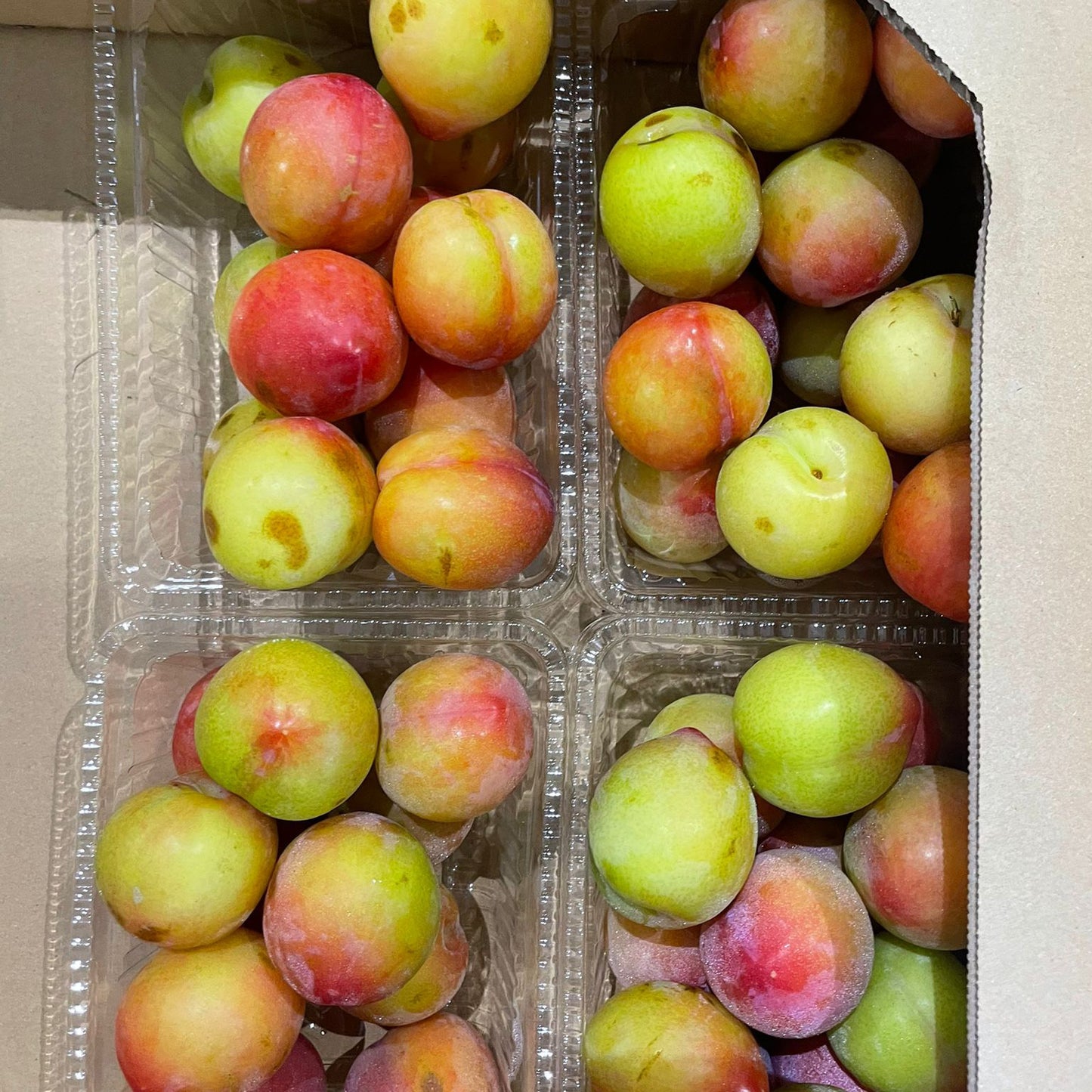 Japanese Yamanashi Plums