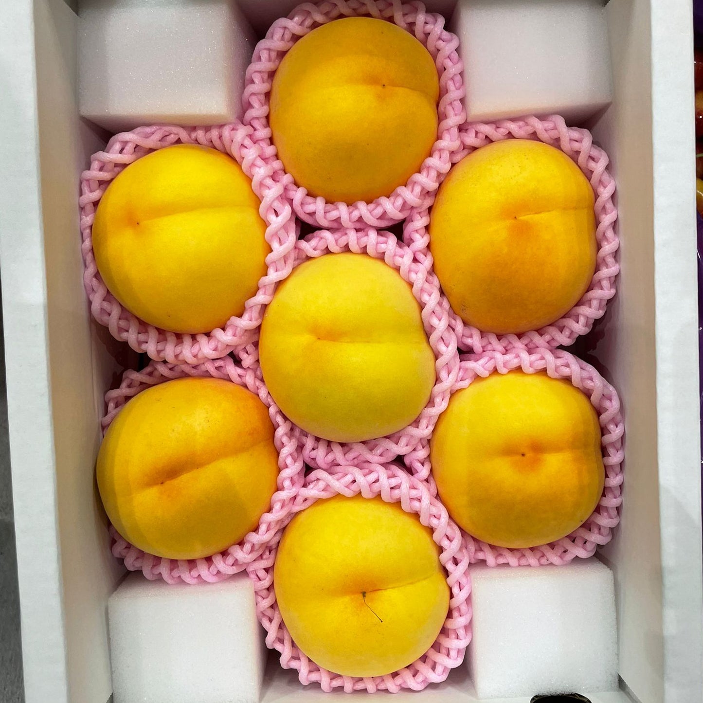 Yellow Peach / 黄桃