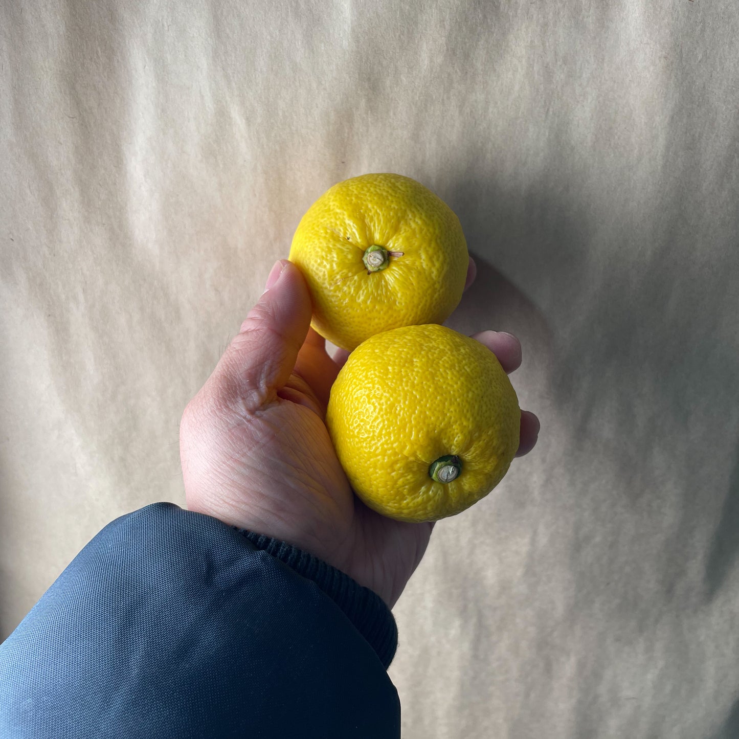 Yellow Yuzu