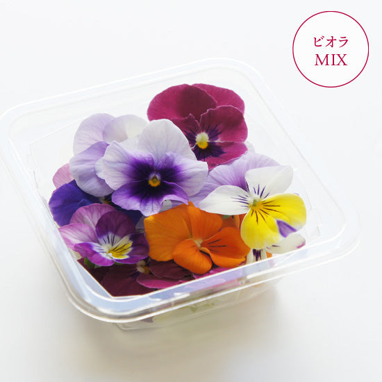 Ichirin Viola Mix