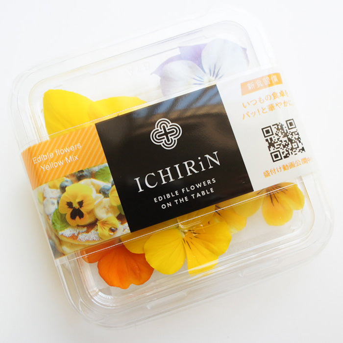 Ichirin Viola Yellow Mix